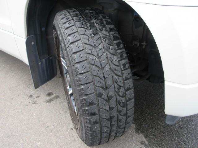 21654376_carP_l_12.jpg