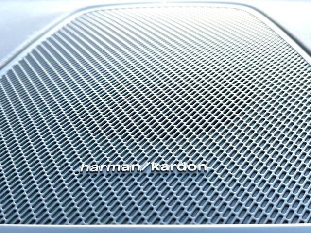 21874269_carP_l_13.jpg