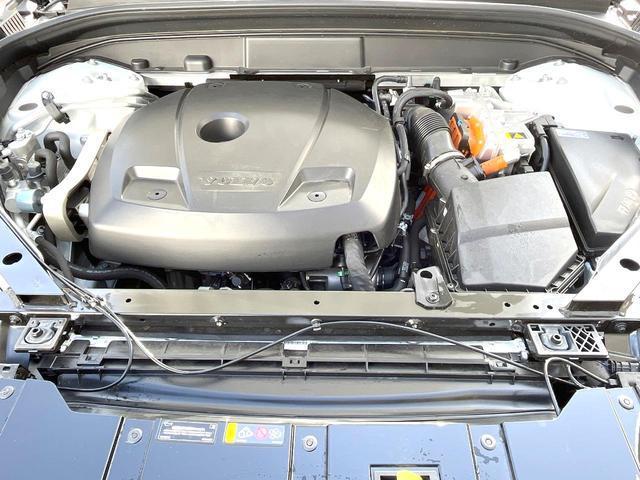 21874269_carP_l_20.jpg