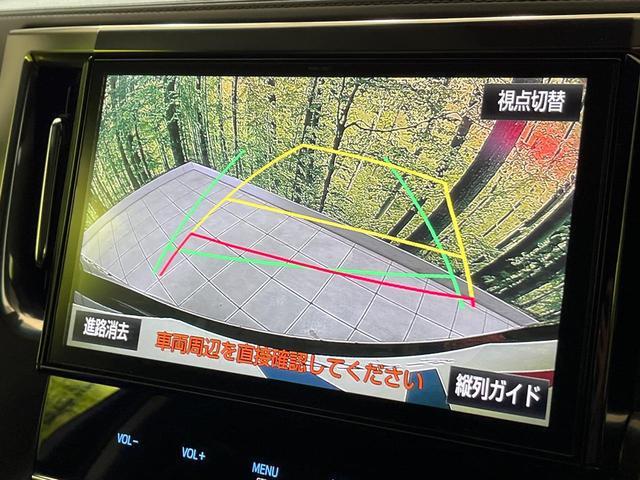20502947_carP_l_10.jpg