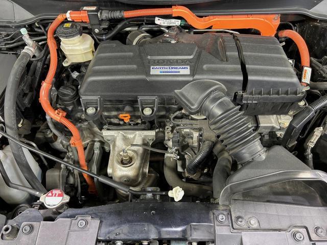 22819536_carP_l_18.jpg