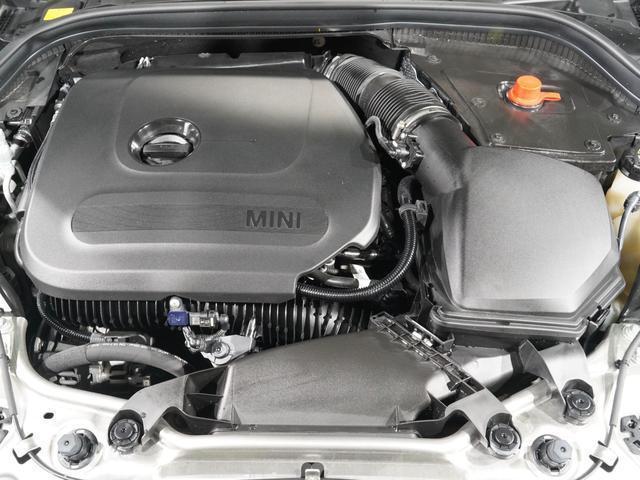 20987772_carP_l_17.jpg