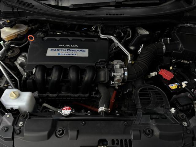 21285705_carP_l_17.jpg