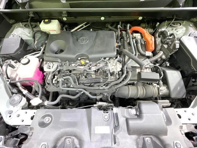 22316280_carP_l_16.jpg