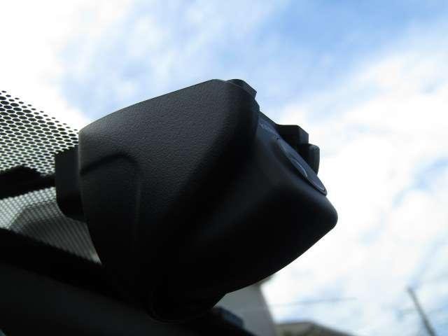 22558621_carP_l_2.jpg
