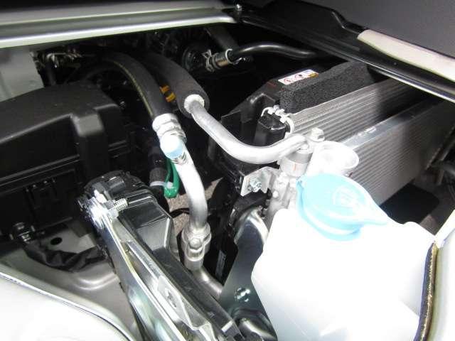 23268064_carP_l_17.jpg