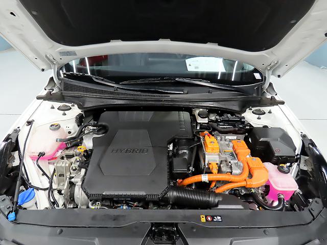 7a45f6bc7513087a2a2e4e4a4264eba2.jpeg