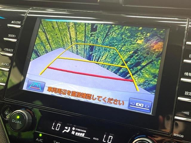 18579595_carP_l_4.jpg