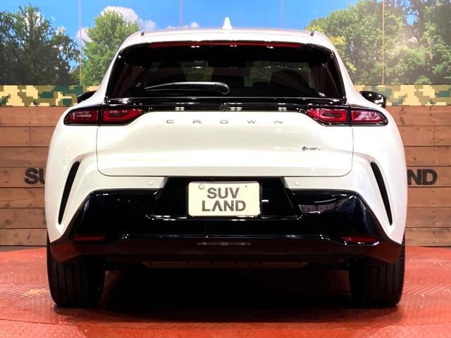 22956246_carP_l_9.jpg