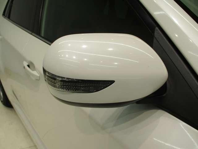 22312676_carP_l_20.jpg
