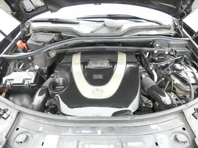 22205877_carP_l_17.jpg