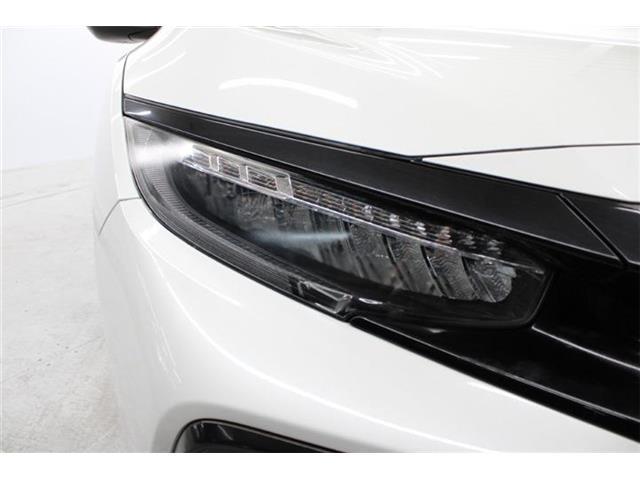 a6fae87adf250445f31e9f746adfe83b.jpg