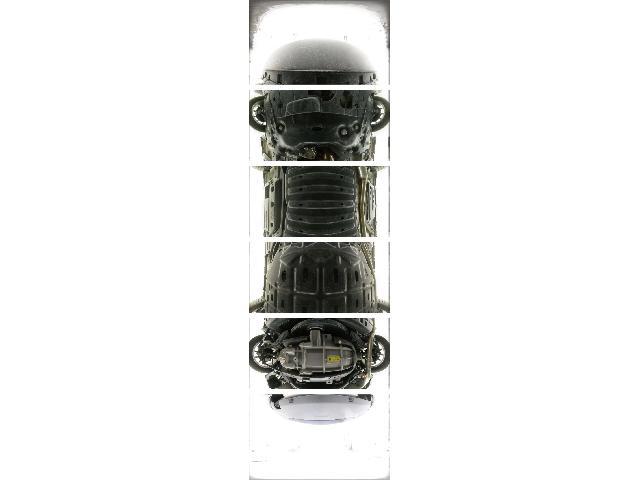 23244448_carP_l_5.jpg