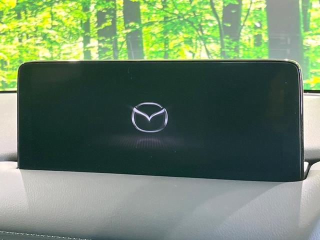 22720572_carP_l_15.jpg