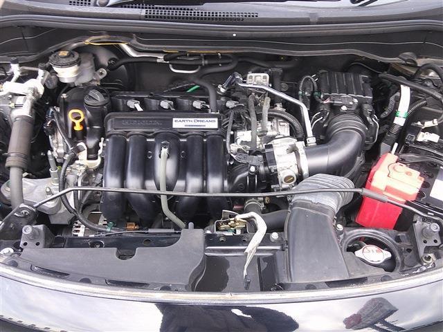 21027964_carP_l_2.jpg