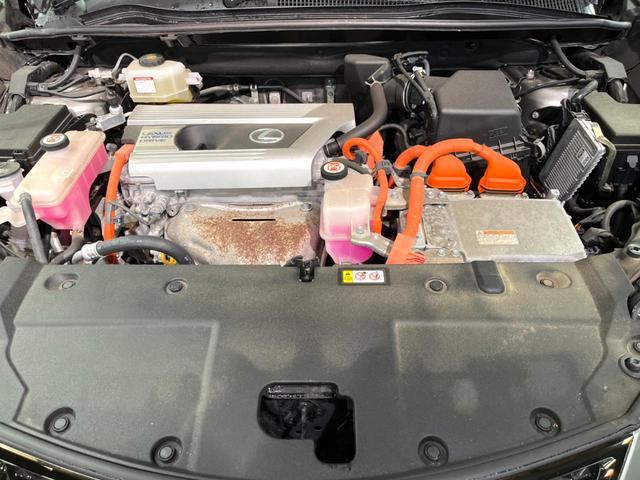 22372258_carP_l_16.jpg