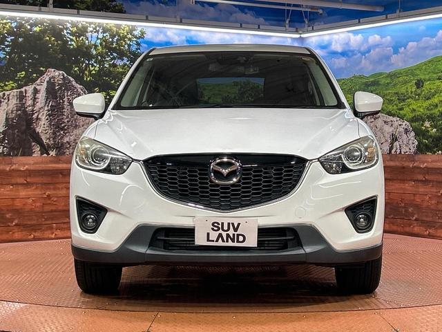 22411804_carP_l_8.jpg