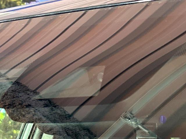 22856636_carP_l_13.jpg