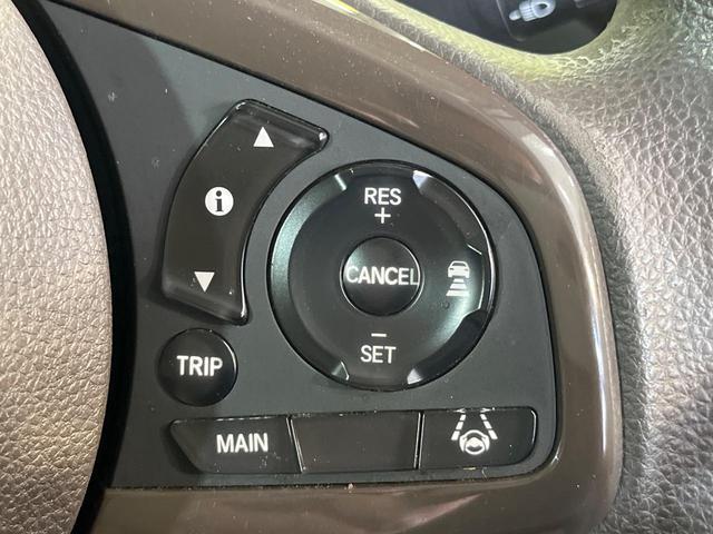 22779394_carP_l_10.jpg