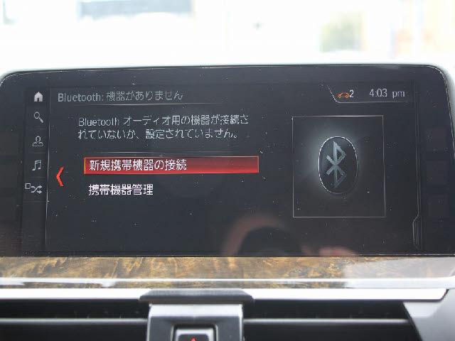 22476552_carP_l_19.jpg