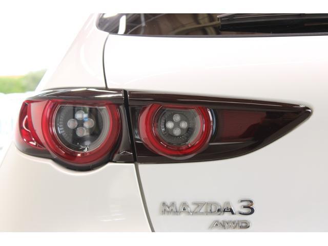 3000917A30251022W00619.jpg