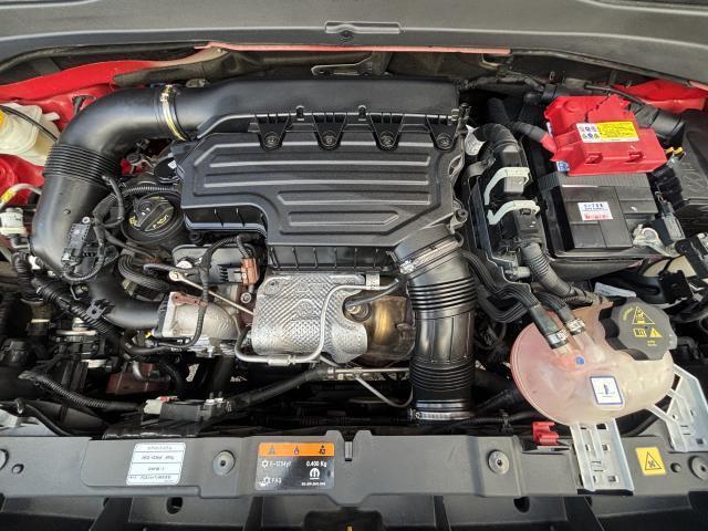 22301916_carP_l_17.jpg