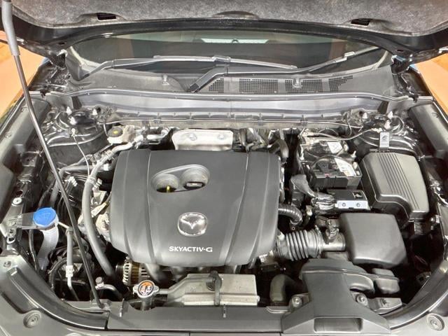 19430078_carP_l_18.jpg