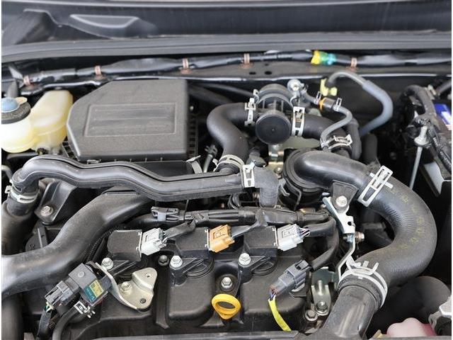 21659202_carP_l_18.jpg
