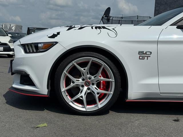 1101563A30250926W00211.jpg