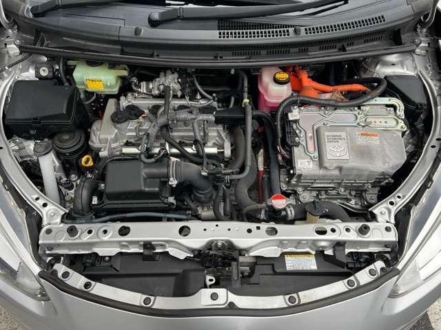 23234515_carP_l_19.jpg