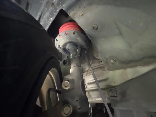 21601539_carP_l_20.jpg