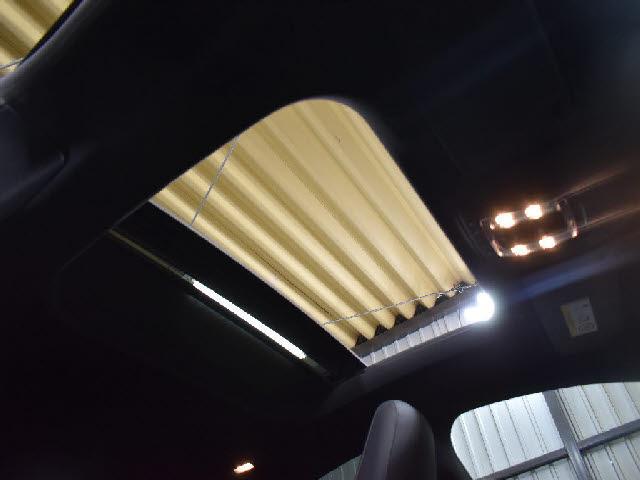 18730682_carP_l_10.jpg