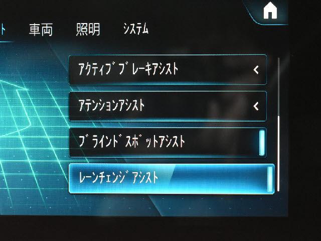 18730682_carP_l_14.jpg
