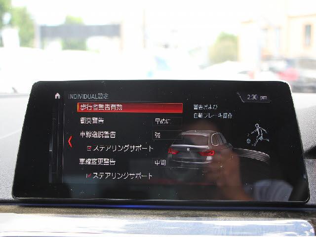 18572391_carP_l_10.jpg