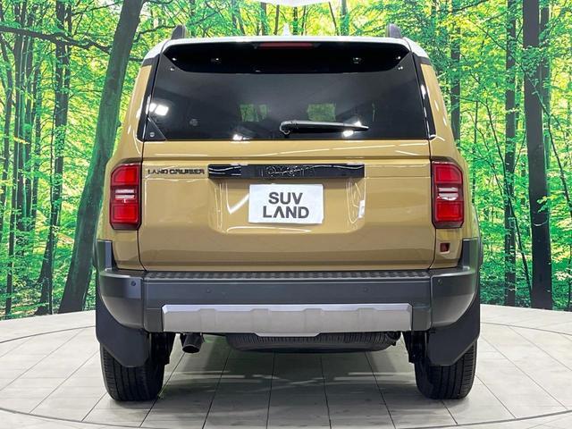 21891958_carP_l_9.jpg