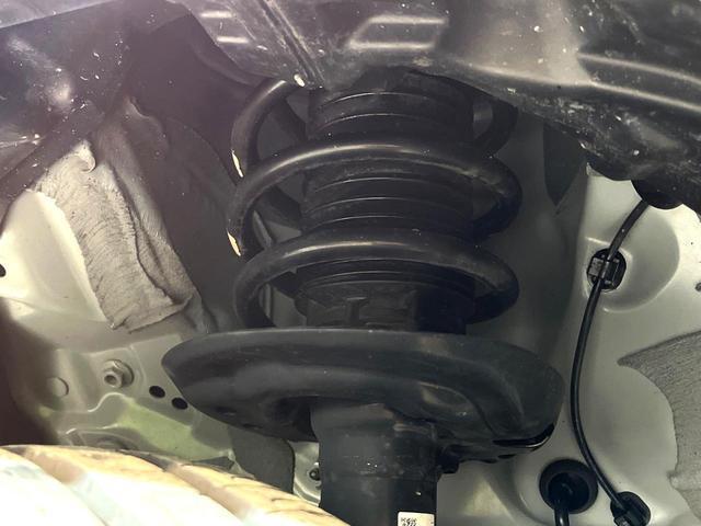 21654524_carP_l_20.jpg