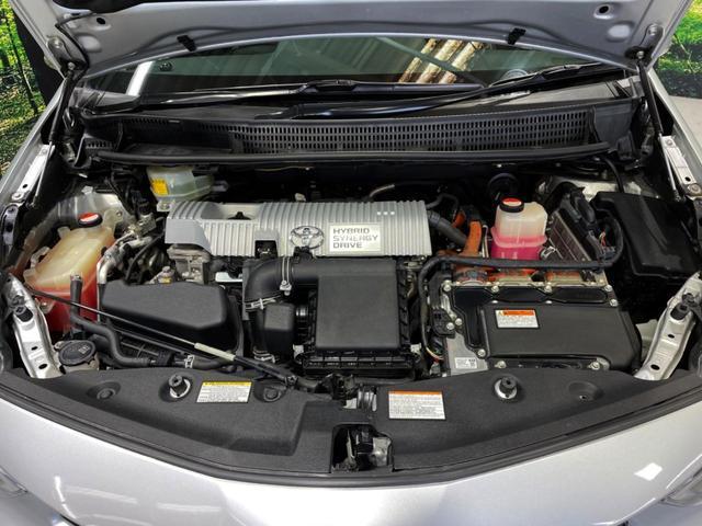 22316169_carP_l_18.jpg