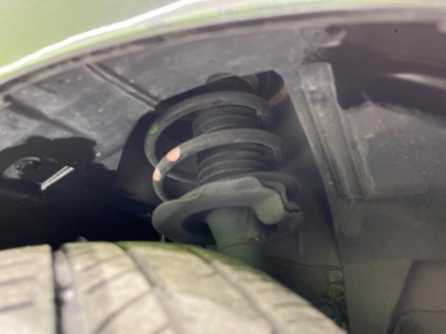 22639555_carP_l_20.jpg