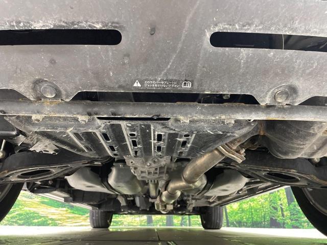 21344478_carP_l_20.jpg