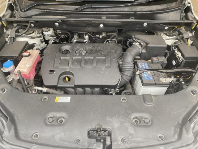 22526630_carP_l_17.jpg