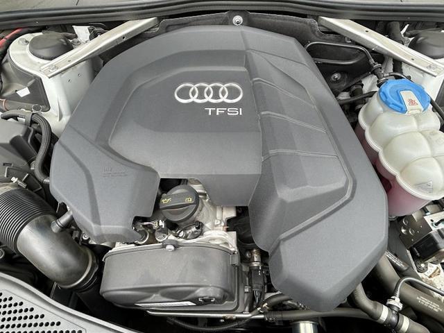 22462273_carP_l_12.jpg