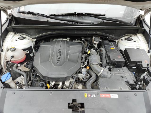lotterental_14220862_c60LB_10.jpg