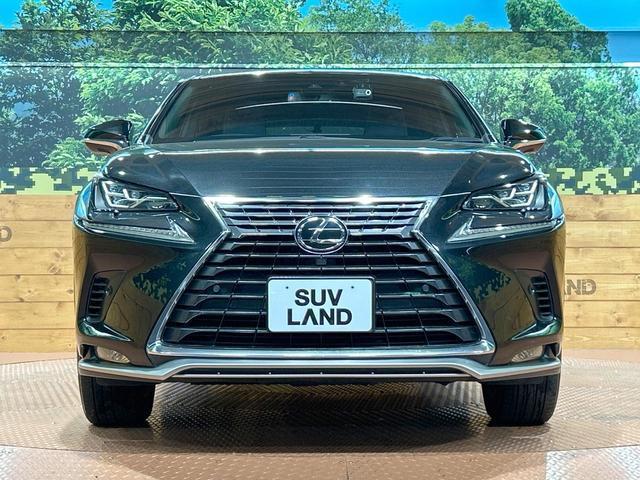 22411771_carP_l_8.jpg