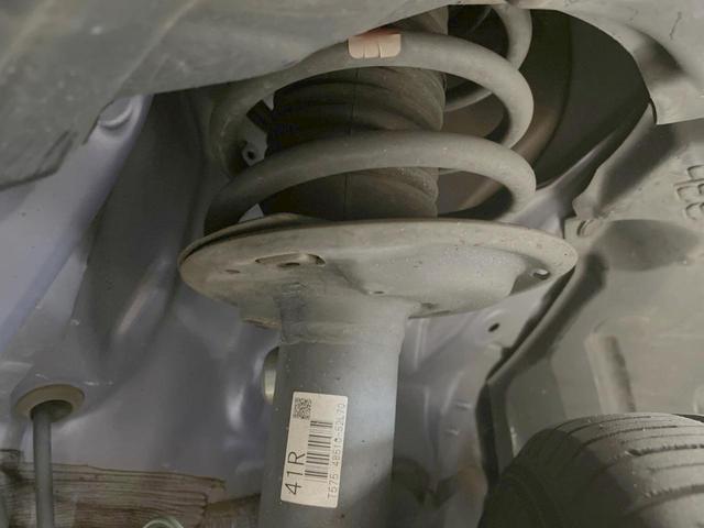21183536_carP_l_20.jpg