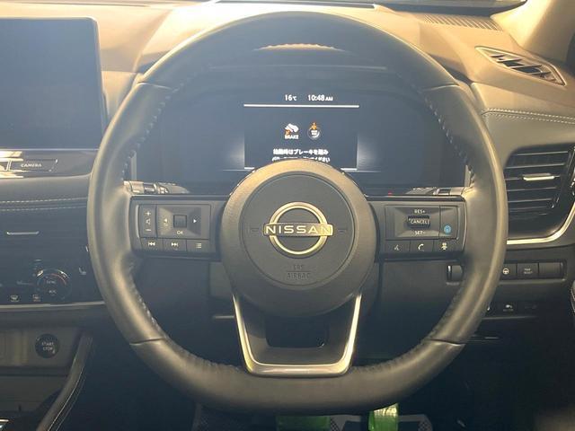 22392154_carP_l_5.jpg