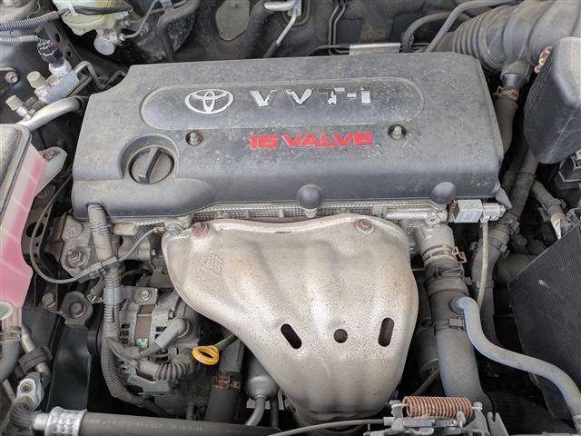 08.jpg