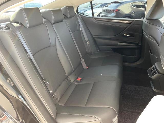 22619410_carP_l_5.jpg