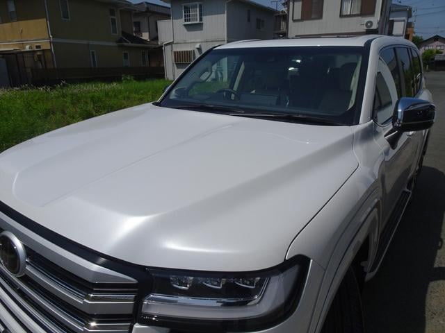 0600953A30250414W00119.jpg