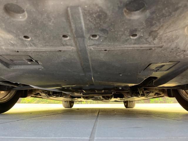 22819278_carP_l_18.jpg