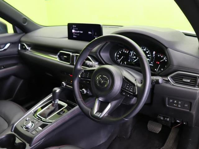 21793560_carP_l_2.jpg